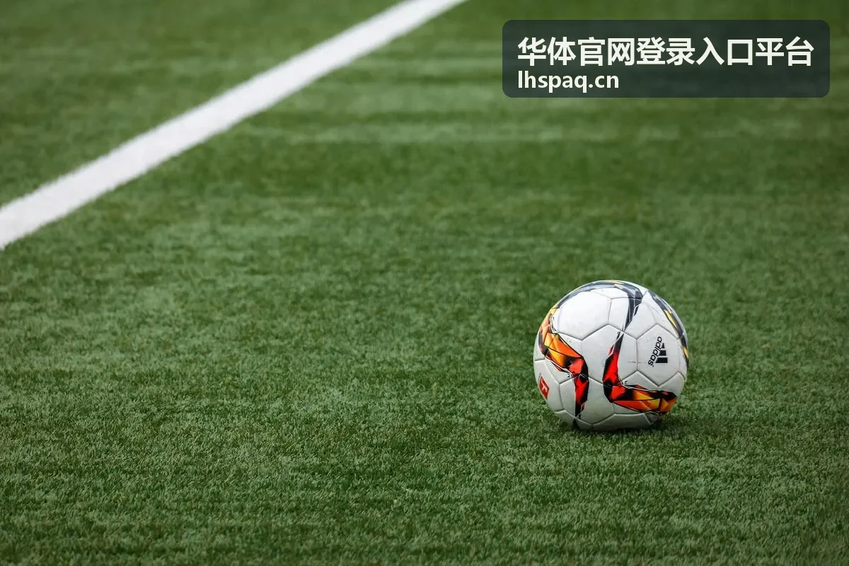 华体官网登录入口平台的常见问题帮助卡片